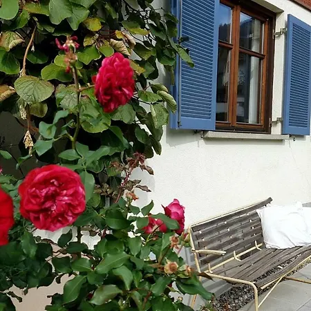 Apartment Ferienwohnung Oberdorf